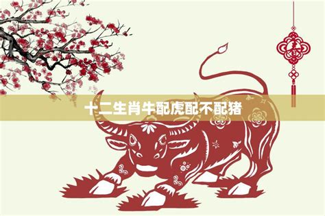 雞配虎|【虎配雞】虎配雞：史上最強婚姻組合？屬虎與屬雞配對全。